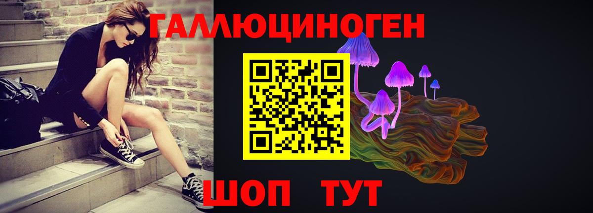 Галлюциногенные грибы Psilocybe  Псилоцибиновые грибы Cubensis  Азнакаево  Вход с VPN 
